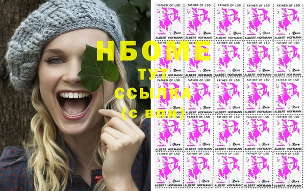 прущие грибы Бородино