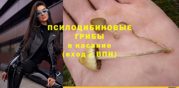прущие грибы Бородино