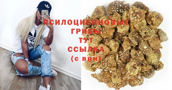 соль ск Бронницы