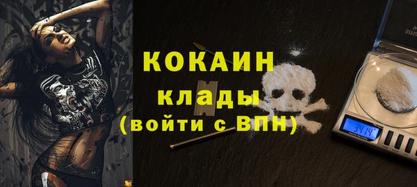 прущие грибы Бородино