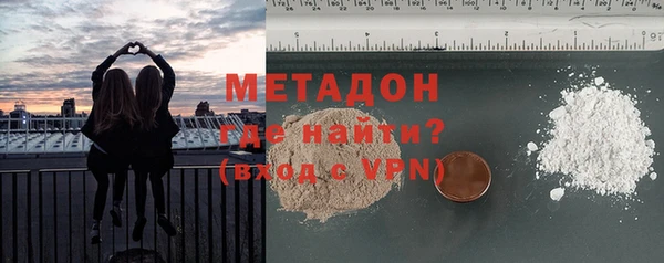прущие грибы Бородино