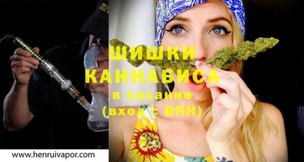 прущие грибы Бородино