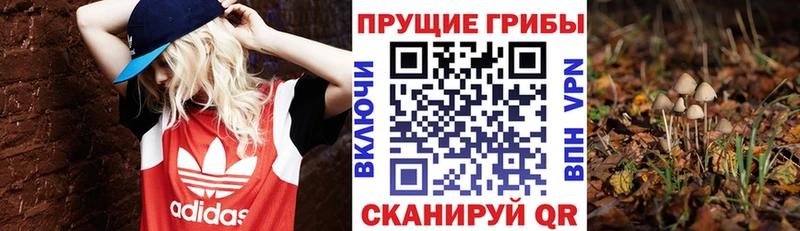 Псилоцибиновые грибы прущие грибы  дарнет шоп  нарко площадка Telegram  Демидов 